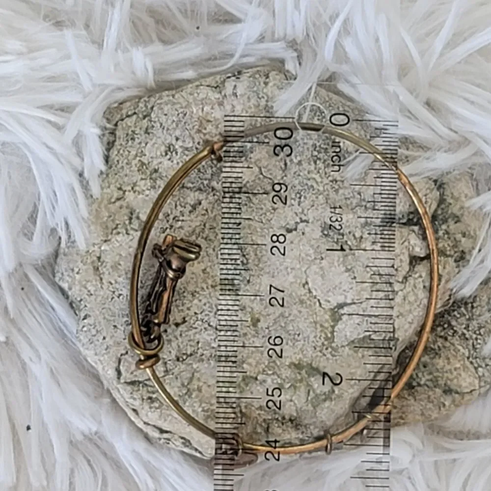 Alex and ani set of 2 energy infused bracelets